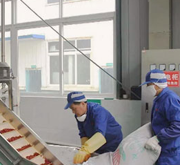 重慶最有名的火鍋底料為何味道好，這幾方面是關(guān)鍵！