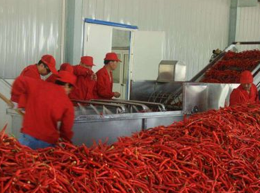 選擇火鍋底料廠有哪些技巧，價格之外這些也要看！